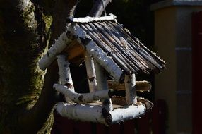 bird wooden house