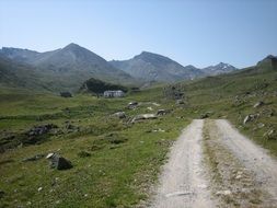 rural road in the alpine mountains