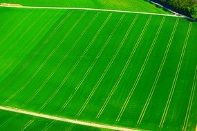 field green air view