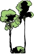 drawing of green trees in the jungle