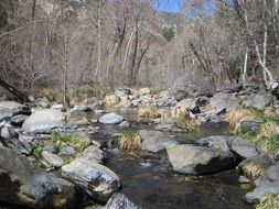 creek river landscape