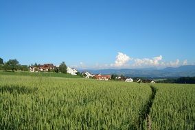 green field and village on hill in beautiful landscape