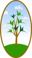 green tree in the oval