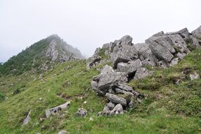 rock from quaternary glaciation on mountain side