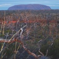 sandstone rock formation Uluru in Australia