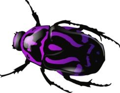 purple and black bug, drawing
