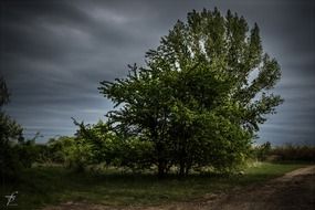 scenic countryside in the evening