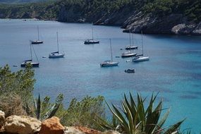 boats on turquoise ibiza sea