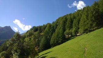 green hill with trees in Heiligenblut