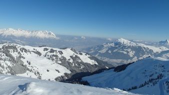 Snowy alpines