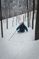 man skiing in the beautiful snowy forest in winter