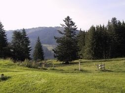 upper rose alp landscape in oberstaufen