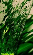 green leaves through ripple glass