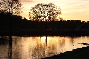 golden light on sky and water, park at autumn evening