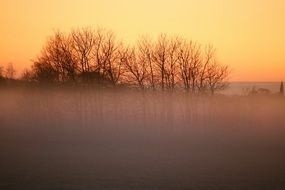 foggy field at sunset