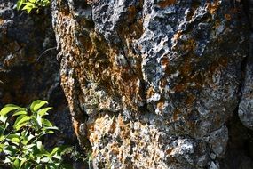 rock with green moss closeup