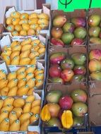 ripe mango at the farmers market