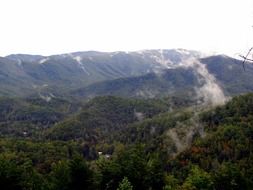 green mountains in fog