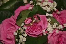 pink rose with wedding rings