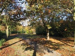 park in autumn time