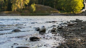 rocky coast of the forest river