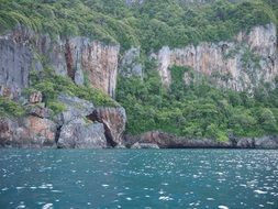 distant view of the green rocky coast