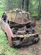 rusty broken car in the woods