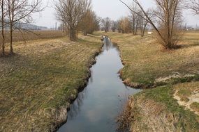 creek bank