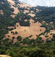 scenic green mountains in california