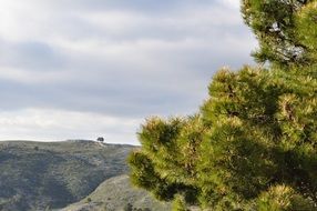 nature in the mountains of spain