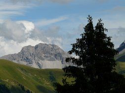 view from behind a tree on the Alpine mountains