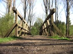 forest path through a wooden bridge