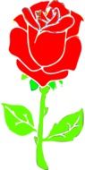 cute red rose flower drawing