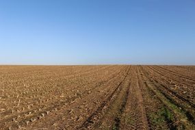 rural plowed field