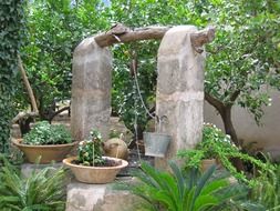 fountain and green plants in garden