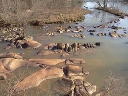 quiet stream among the stones
