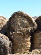 round haystacks on the Montana farm