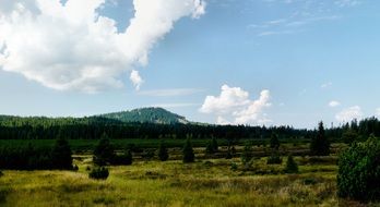 the landscape of green valley in summer