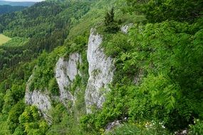 Green rock nature mountain view
