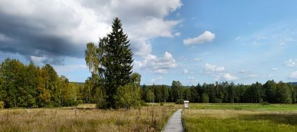 landscape of rural road in the summer