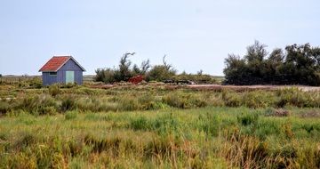 oyster island in France