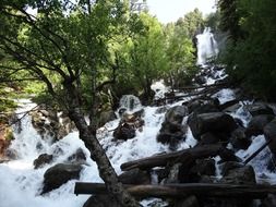 mountain waterfall in forest, spain, aigüestortes