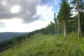 forested Mountains in Russia