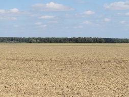 absolutely gorgeous field landscape