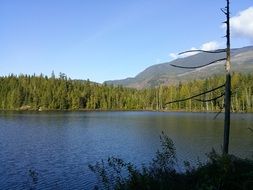 Landscape of the mountains lake and forest