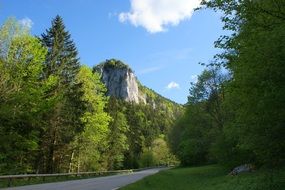 end of the forest road