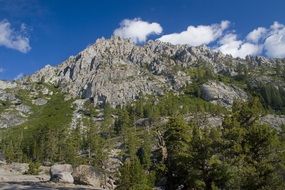green trees on the slope of a mighty mountain