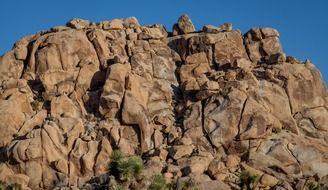 large sandstone in joshua tree national park