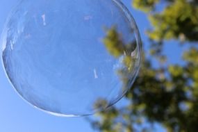 soap bubble in the air