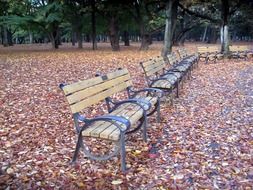 benches in fall park scene